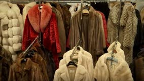 California becomes first state to ban fur trapping after Gov. Newsom signs law