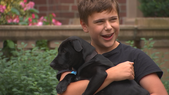 Gov. Walz fulfills campaign promise with son, adopts puppy