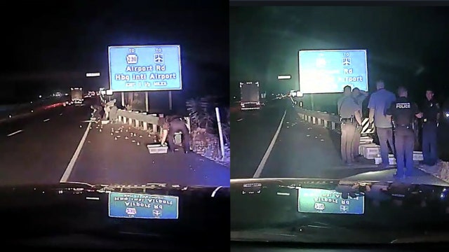 Police herd 900 chicks to safety after they were dumped on highway