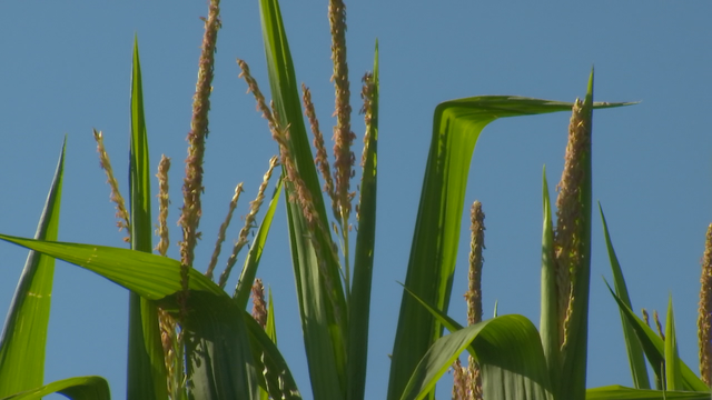 Training sessions on preventing suicide in agricultural communities announced statewide