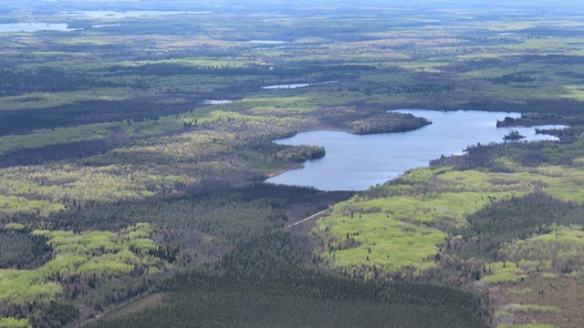 Missing bear hunter rescued in BWCA after helicopter finds campfire