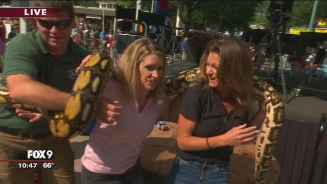 Reptiles stop by FOX 9 booth at Minnesota State Fair