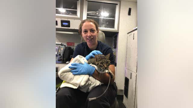Firefighters rescue, resuscitate cat after early morning house fire in St. Paul