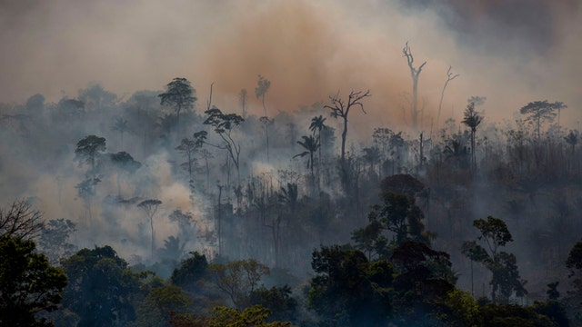 Minnesota teacher brings attention to Amazon rainforest wildfires in Bolivia