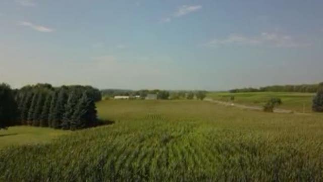 ‘Huge concern’: Minnesota farmers see big disparity in trade war compensation