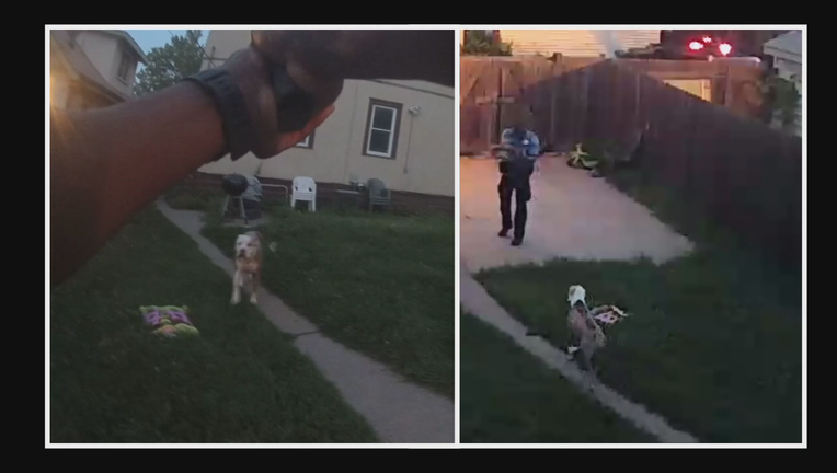 Police shoot dogs surveillance