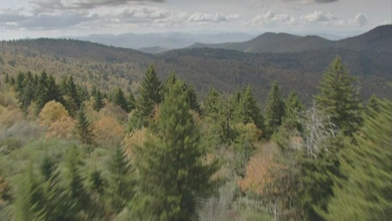 fd50fc39-9FREE ENTRY TO NATL PARKS_KMSP1fd2_146.mxf_00.00.34.18_1564972979334.png.jpg