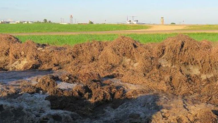9bfa12b6-MSP Airport snow pile_1563553433161.JPG.jpg