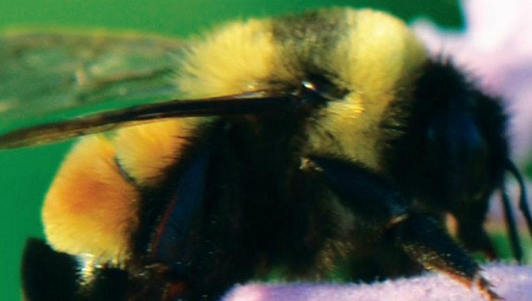 57122cd0-bee_dnr_1567113016297.jpg