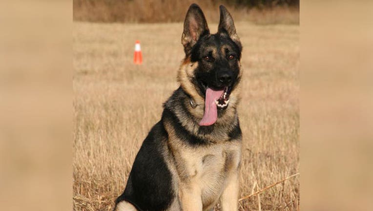 k-9-kojak_1566676786640.jpg