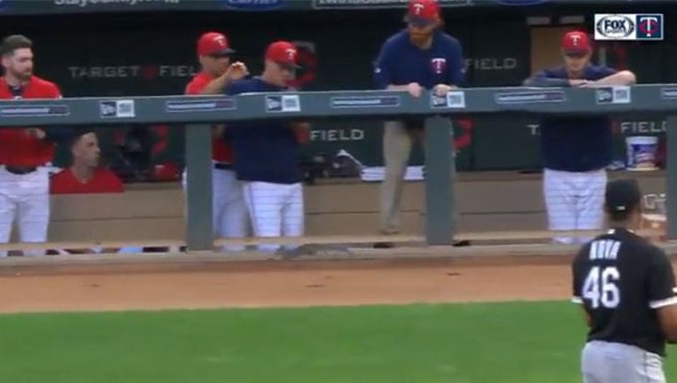 squirrel invades Twins dugout_1566305751198.jpg.jpg