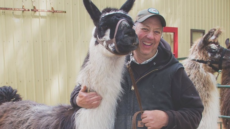 llamas and Rick Carlson