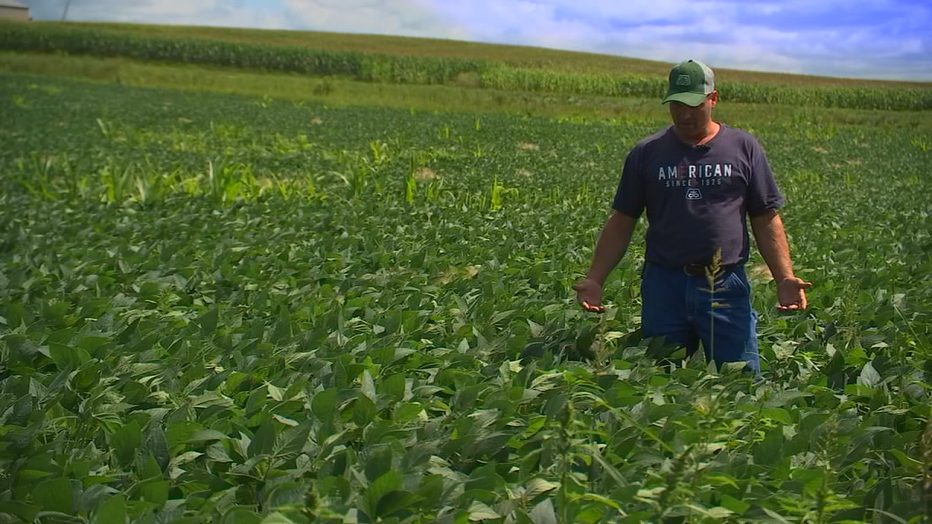 Soybean farmer