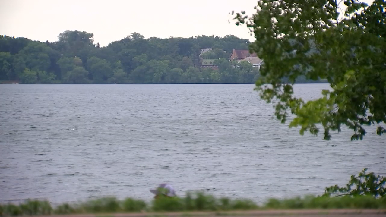 Bat Found On Lake Harriet Walking Path Tests Positive For Rabies Bat Found On Lake Harriet Walking Path Tests Positive For Rabies