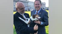 House passes bill to make animal cruelty a federal felony in 'major step to end animal abuse'