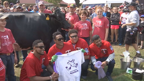 Twins trade mitts for milking gloves at State Fair