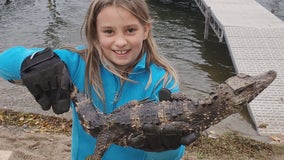 Prior Lake, Minn. family says they found alligator on lake shore