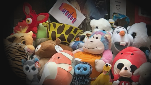 Boy thrown from third level of Mall of America celebrates 6th birthday