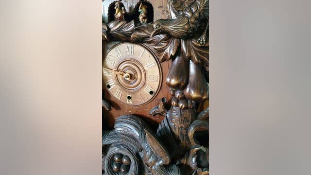 Cuckoo for cuckoo clocks