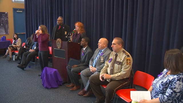 St. Paul leaders working to make city a 'safe haven' for domestic violence survivors