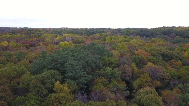 Wisconsin DNR urges ice safety ahead of firearm deer opener, license sales are 'brisk' so far