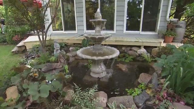 How to plant a dreamy water garden
