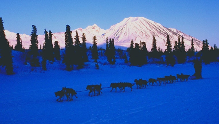 0d8b023d-GETTY_Iditarod_1552350649640.jpg