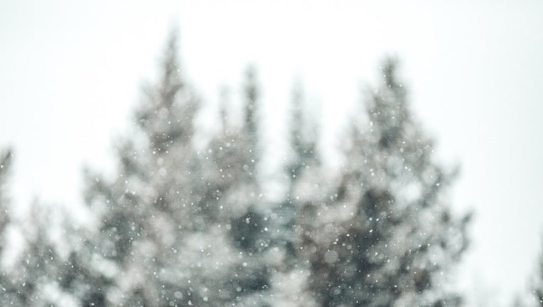 d80daf32-snow_snowfall_snowflake_winter_generic_120917_1512845143917-401096-401096.jpg
