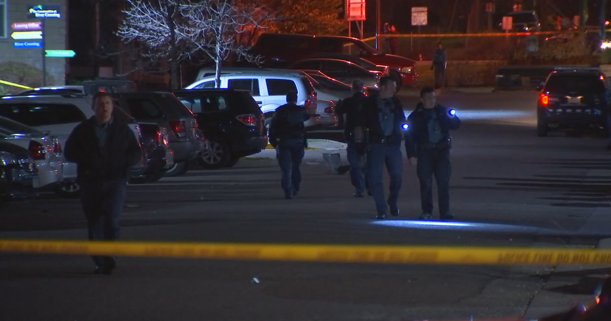 Arrest made in deadly Nov. 1 shooting of man driving with wife in St ...