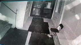 Surveillance video shows vandal smashing glass door of Minneapolis mosque