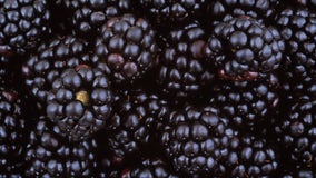 FDA warns of hepatitis A outbreak possibly linked to Fresh Thyme blackberries