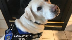 Community support K9 joins Anoka County Sheriff's Office to ease fear, anxiety after traumatic events