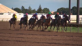 And they're off! Canterbury Park returns to racing with limited crowd, walk-up wagering