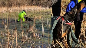 Firefighters rescue dog from ice in Eagan, Minnesota