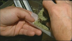 Minnesota House majority leader looks to Colorado for marijuana legalization lessons
