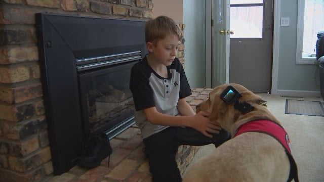 Minnesota organization places its 700th dog with local boy battling disorder