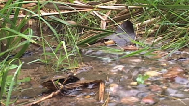 Minnesota DNR: 'Virtually no scenario' for approval of proposal to ship 500 million gallons of water out of state