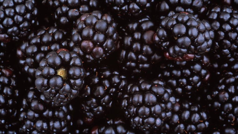 up close photo of blackberries