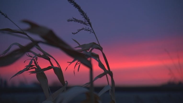 Sunset on a farm