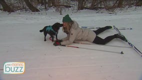 FOX 9 reporter's dog causes skijoring wipeout