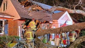 Elderly Atlanta woman killed after tree falls on house