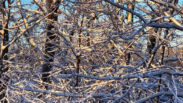 Why it takes so long for snow to melt