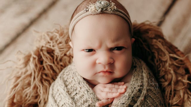 Mean mugging: Baby appears extremely unamused in adorable newborn photo shoot
