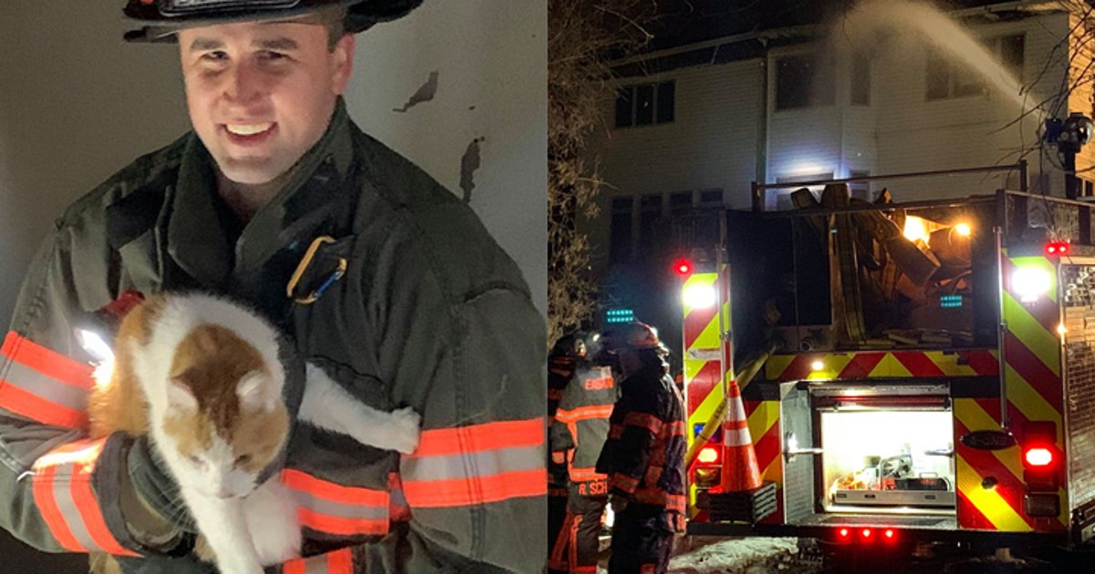 Crews rescue cats from house fire in Eagan, Minnesota | FOX 9 ...