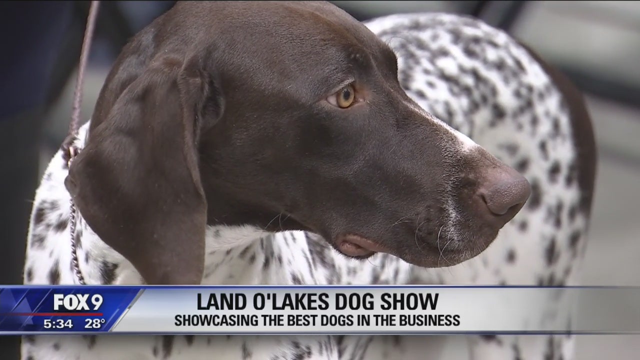 land o lakes dog show