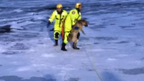 Bloomington firefighters rescue dog from icy Minnesota River