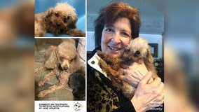 Minnesota woman reunited with dog that went missing for 17 months