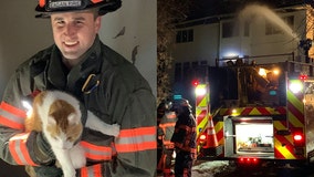 Crews rescue cats from house fire in Eagan, Minnesota