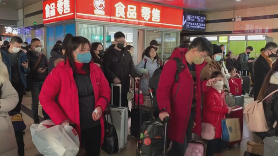 University of Minnesota doctor weighs in on coronavirus global health emergency