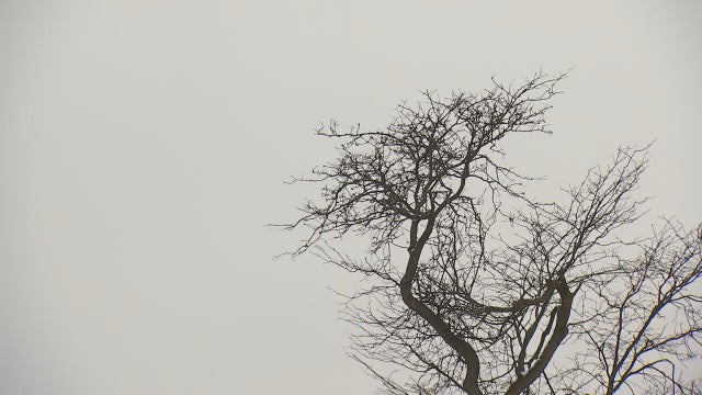 This has been the gloomiest January in more than 50 years in the Twin Cities